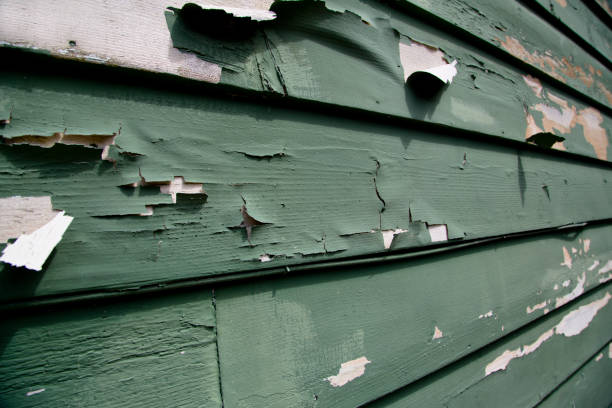 Best Dumpster Rental Services  in The Pinery, CO